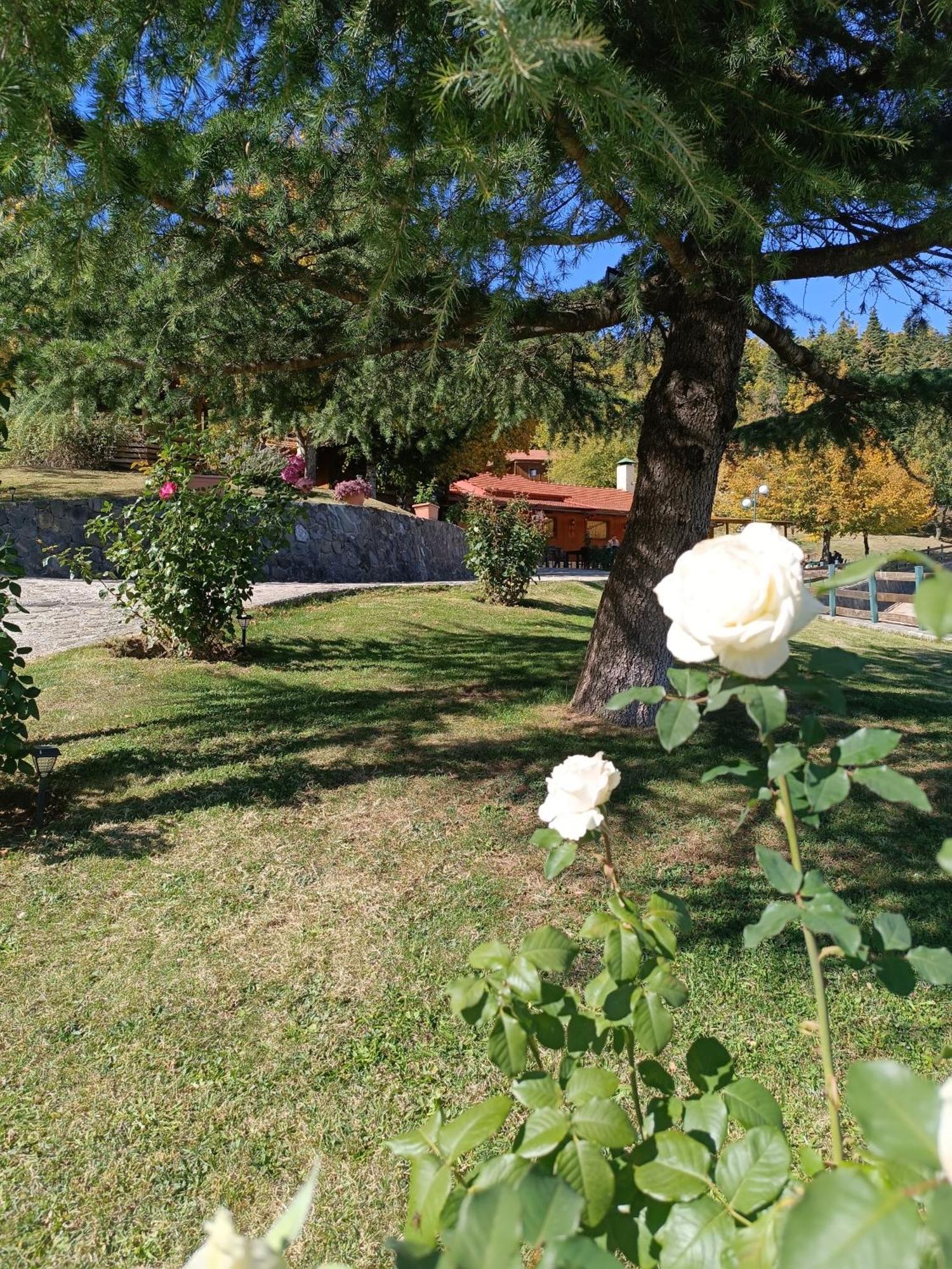 Livadaki Village Megali Kapsi Dış mekan fotoğraf
