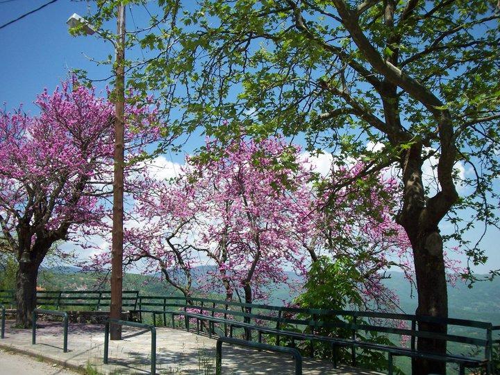 Livadaki Village Megali Kapsi Dış mekan fotoğraf